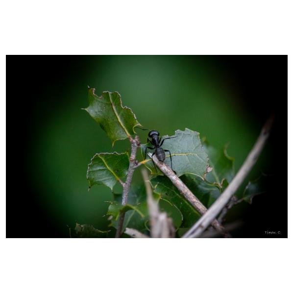 PHOTO84, CLUB, 84 , LUBERON